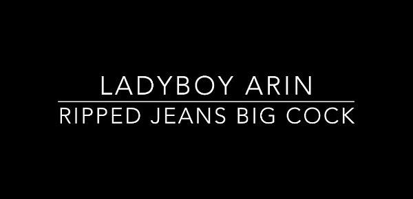  Ladyboy Arin Blowjob And Bareback